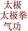 Pic of Chinese Characters for T'ai Chi and 
			   Qigong